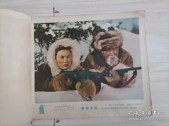 剧照