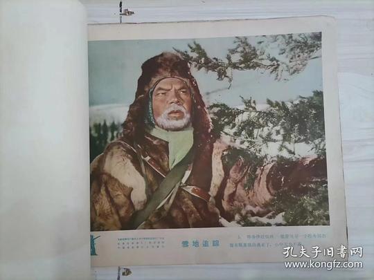 剧照