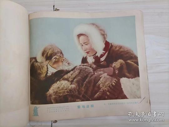 剧照