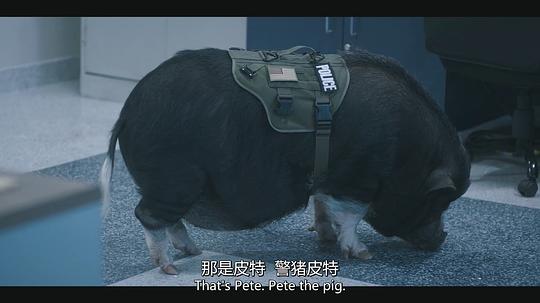 剧照