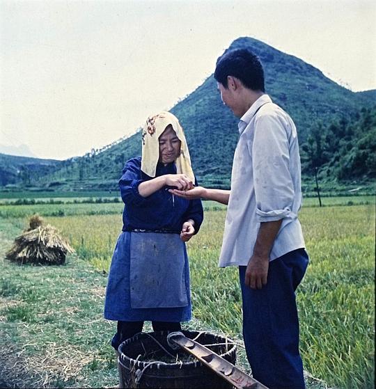 剧照