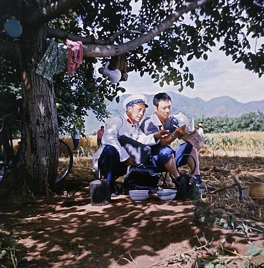 剧照