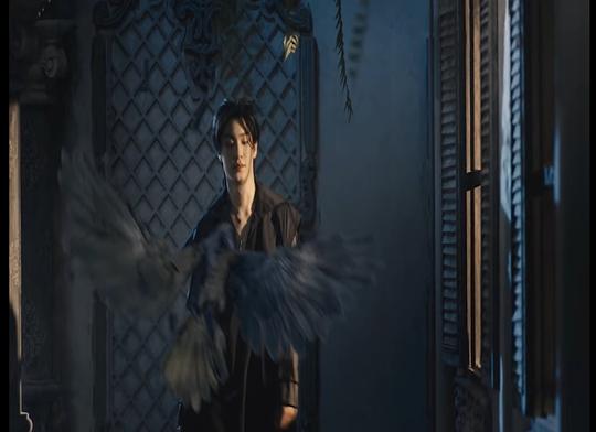 剧照