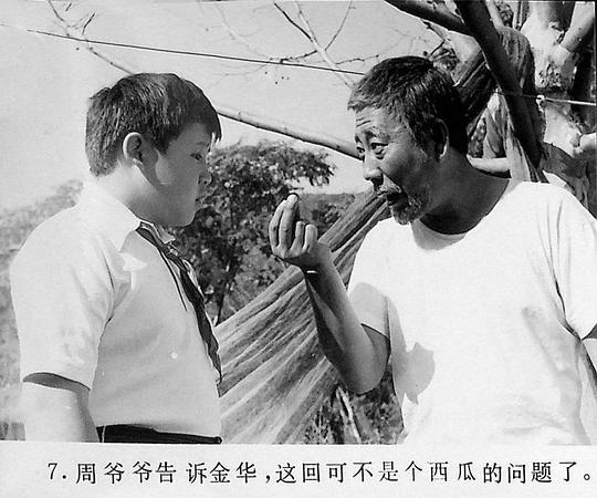 剧照