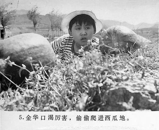 剧照