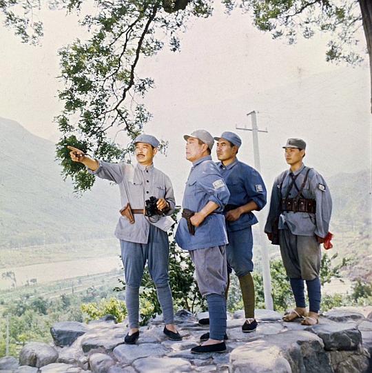 剧照