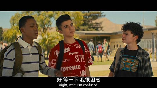 剧照