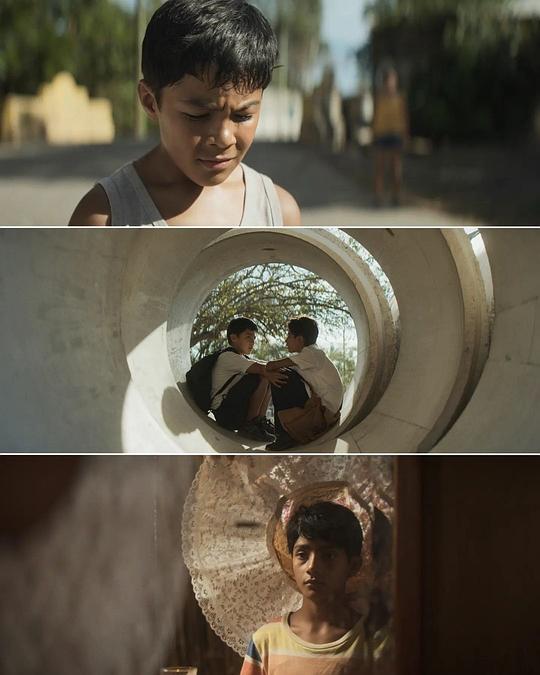 剧照