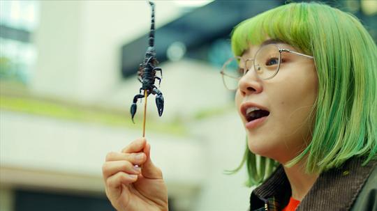 剧照