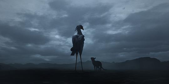 剧照