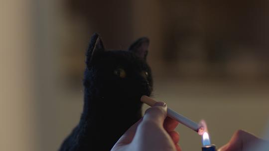 剧照