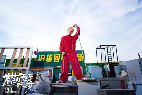 剧照