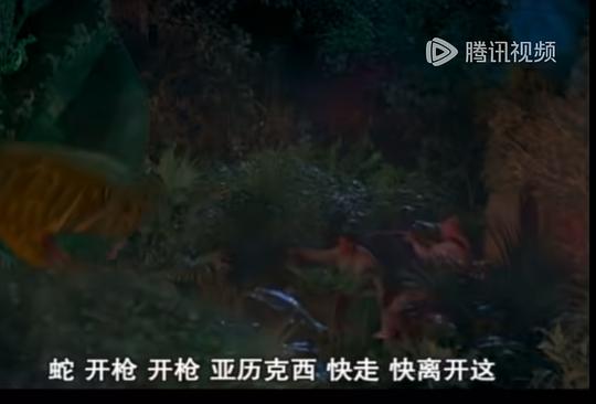 剧照