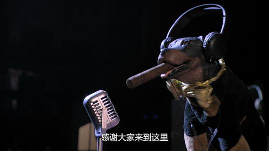 剧照