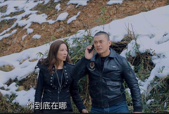 剧照
