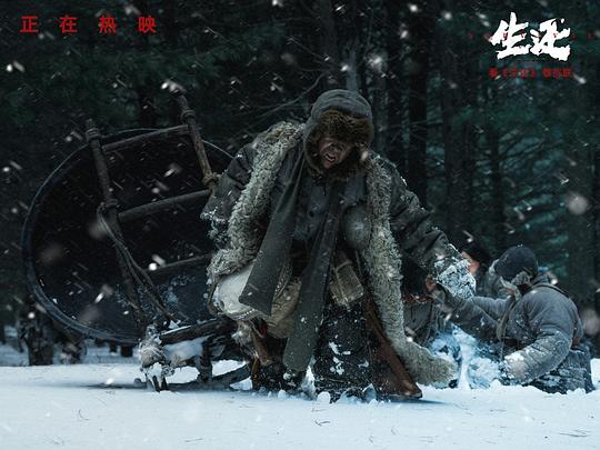 剧照