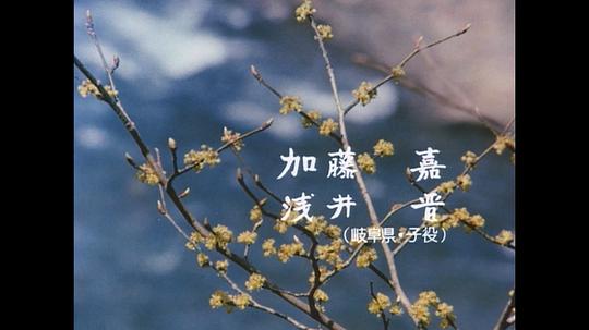 剧照