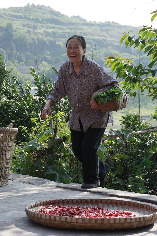 剧照
