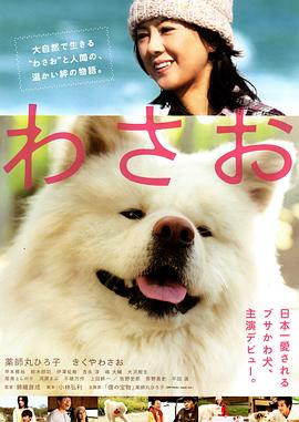秋田犬蓬夫 わさお