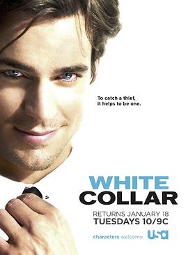妙警贼探  第二季 White Collar Season 2