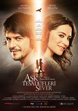 心有所属 Aşk Tesadüfleri Sever