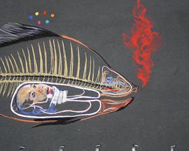 弗洛伊德，鱼和蝴蝶 Freud, Fish and Butterfuy