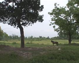 我们如何欢庆自由 Jashn-e-azadi – How We Celebrate Freedom