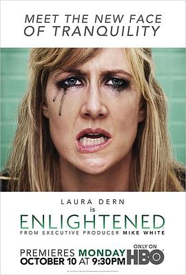 醍醐灌顶 第一季 Enlightened Season 1
