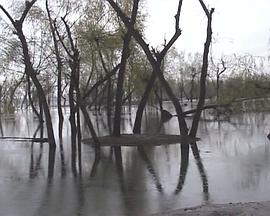 秋日的最后国度 Autumn's Final Country