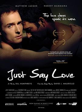 请说爱 Just Say Love