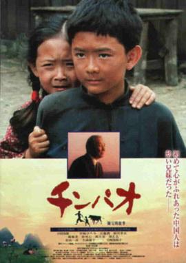 陈宝的故事 チンパオ