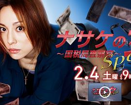 国税查察官SP 铁面女 ナサケの女 スペシャル～国税局査察官～
