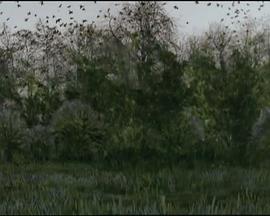 调音 Strojenie Instrumentów