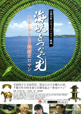 连接海峡的光 海峡をつなぐ光～玉虫と少女と日韓歴史ロマン～