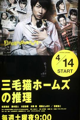 三花猫福尔摩斯的推理 三毛猫ホームズの推理