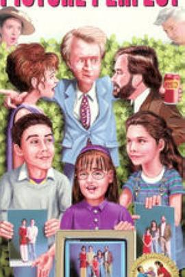 完美照片 Picture Perfect