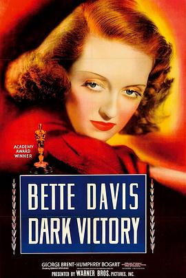 黑暗的胜利 Dark Victory