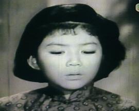 夜夜望娘归 夜夜望娘歸