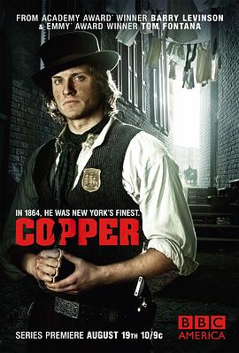 纽约警察故事 第一季 Copper Season 1
