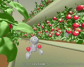 宇宙电梯科学者梦寐的未来 宇宙エレベータ 〜科学者の夢みる未来〜