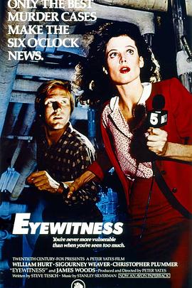 超级特务 Eyewitness