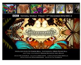 翩翩蝴蝶—英国式迷恋 Butterflies: A Very British Obsession