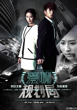 勇敢爱之爱情规划局