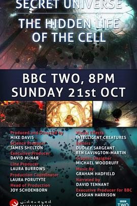 人体奥妙之细胞的暗战 Our Secret Universe: The Hidden Life of the Cell