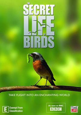 鸟类秘闻 Secret Life of Birds