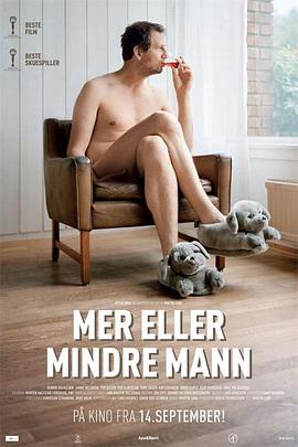 几近成年 Mer eller mindre mann