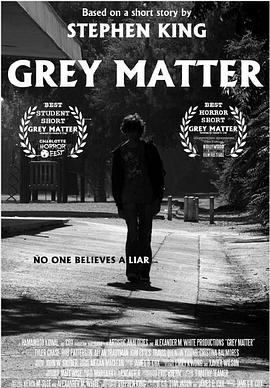 灰色物质 Grey Matter