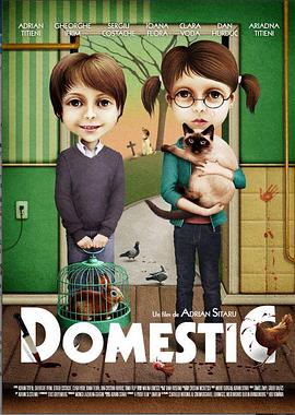 家务事 Domestic