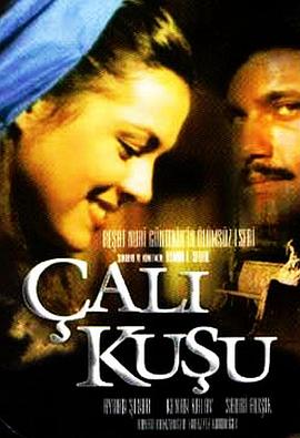 真爱无敌 Çalikusu