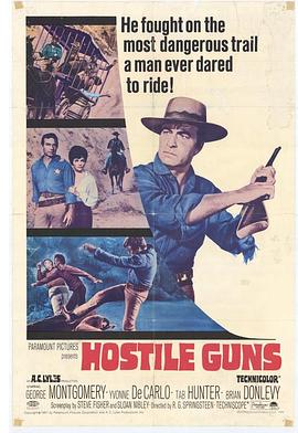 飞锤快抢 Hostile Guns
